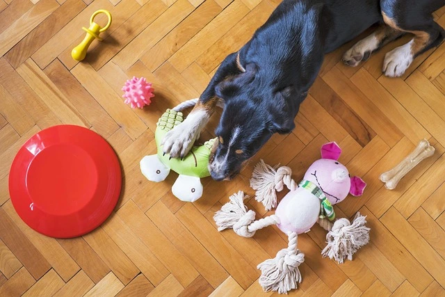 best interactive dog toys best interactive dog toys